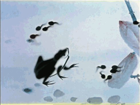 小刺猬背西瓜(小刺猬简笔画图片)插图1