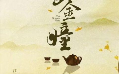 赌石类小说(赌石类小说全本排行榜)
