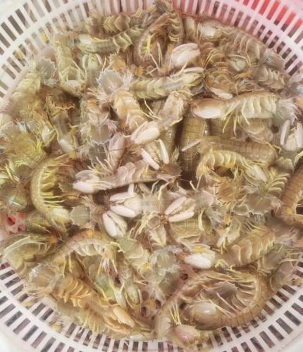 青岛海鲜品种排名前十(青岛海鲜餐厅人气排名)插图7