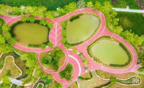 深圳最好玩的地方(深圳最值得去的地方)插图103