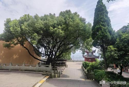 萧山免费寺庙排名前十(萧山私人寺庙)插图33