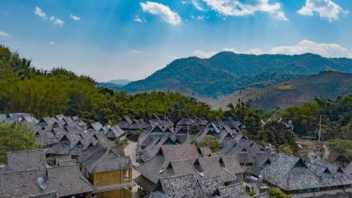 普洱旅游(普洱旅游攻略)插图18