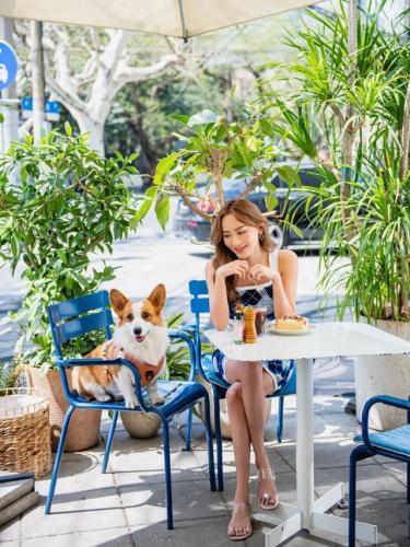番禺宠物商场排名前十(广州宠物店)插图24