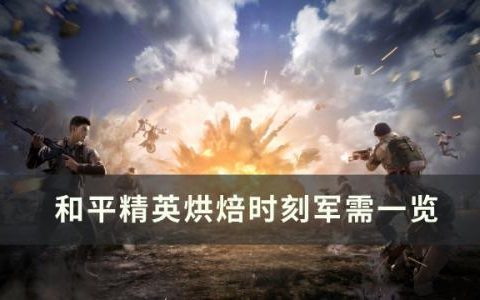 和平精英烘焙时刻皮肤怎么样(哪个软件可以免费领和平精英皮肤)