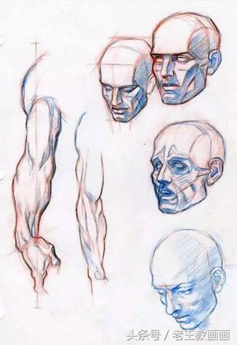 学画画零基础(附近的画画的地方培训班)插图30