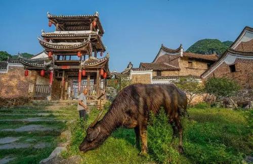 珠山油炸粑粑做法(潭下油炸粑粑做法)插图17