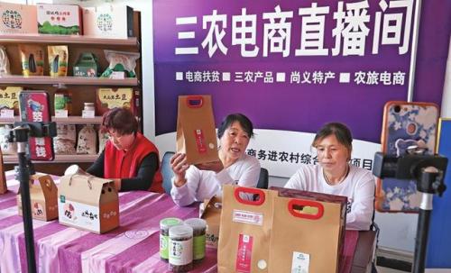 美国养鸡品种排名前十(最好养鸡品种排行榜)插图1