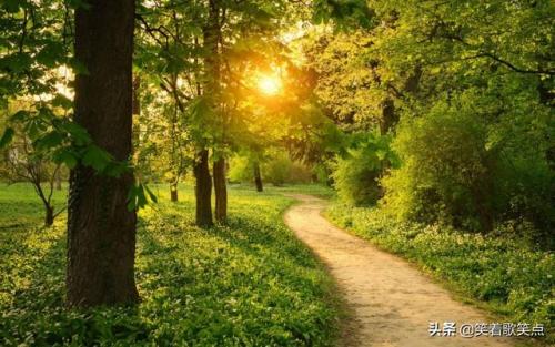 回家的路歌词(回家的路dj纯音乐)插图1