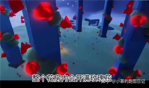 光遇梦想季第五个任务怎么做，梦想与现实之光插图20