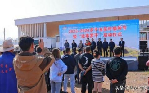 罗平美食达人排名前十(罗平最出名的美食)
