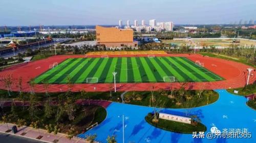 齐河城南小区排名前十(齐河最富有的小区)插图16