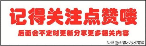 魔兽好看的法杖幻化(wow法杖幻化排名)插图11