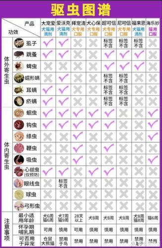 宠物用品(中国宠物用品生产基地)插图15