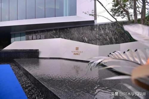 南宁豪宅销量排名前十(南宁十大顶尖豪宅)插图4