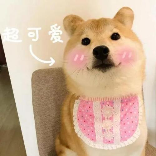 排名前十微信头像(排名前十微信网名)插图75