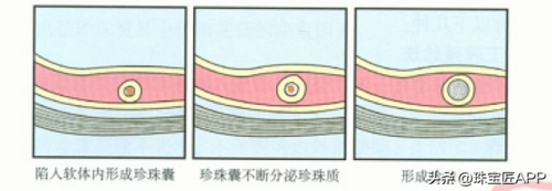 缅甸宝石产量排名前十(缅甸琥珀市场行情)插图14