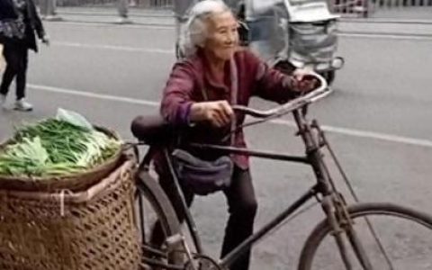 二八自行车(老式28自行车尺寸详细数据)