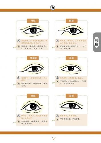 看手相算命(免费算命)插图14