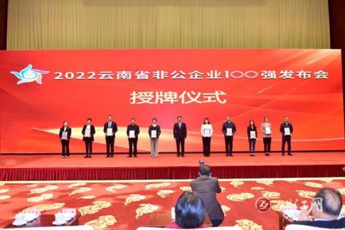 曲靖民间公司排名前十(曲靖天久保安公司)插图2