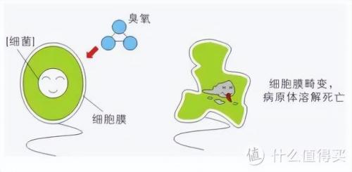 小天鹅洗衣机(广东小天鹅和小天鹅是一个品牌吗)插图21