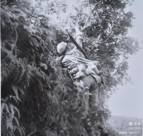 历史仙游土匪排名前十(解放后东北最大土匪)插图12