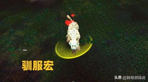 魔兽世界抓灵魂兽的宏(wow自动选取目标并攻击)插图2
