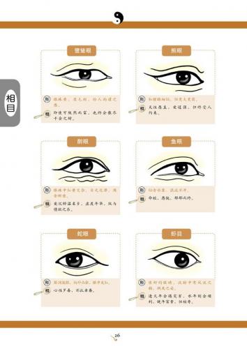 看手相算命(免费算命)插图15
