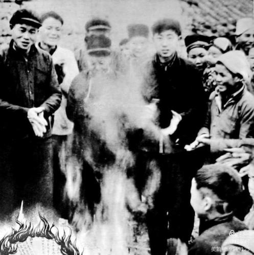 历史仙游土匪排名前十(解放后东北最大土匪)插图34