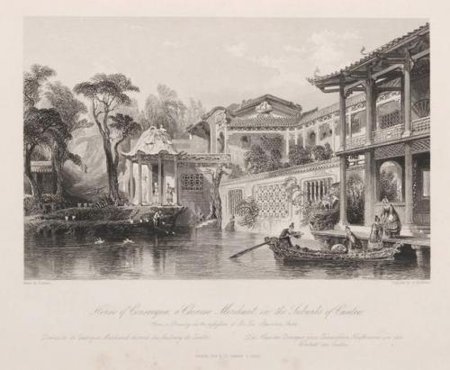 洛克王国紫藤拿什么换(洛克王国紫藤怎么快速获得大量)插图9