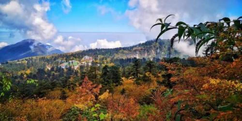 峨眉山风景图片(青城山风景图)插图10