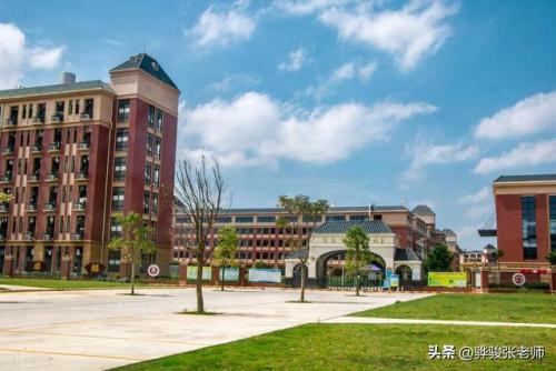 郑州高价小学排名前十(郑州全部小学排名一览表)插图7