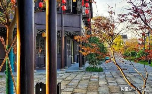 盐城地区景点排名前十(盐城必去景点排名第一)插图30
