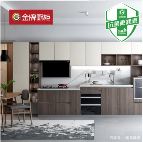 现代花盆厂家排名前十(厂家批发花盆清仓处理)插图2