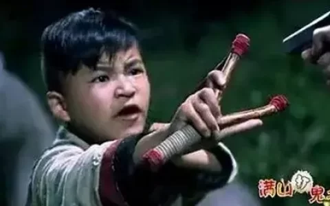 世界弹弓水平排名前十(国内最好的弹弓品牌)