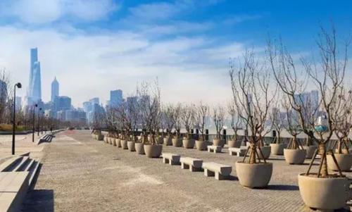 上海划船景区排名前十(上海划船的公园哪个比较好)插图22