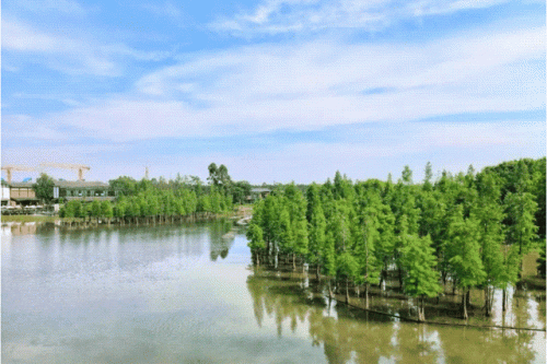 四川成都旅行社(在成都被旅行社坑了)插图2