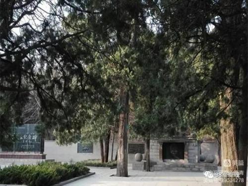 山西烈士姓氏排名前十(姓王的烈士名单)插图39