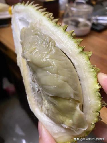 暗铁榴莲(榴莲和铁能一起吃吗)插图7
