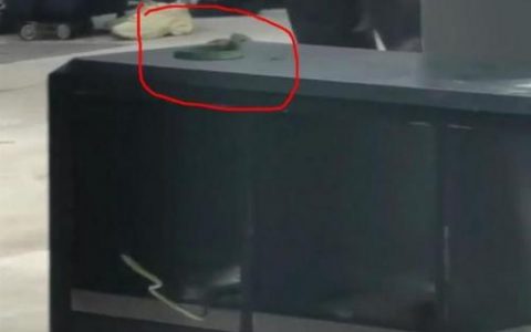 云南昆明火车站(云南火车站惨案纪录片)