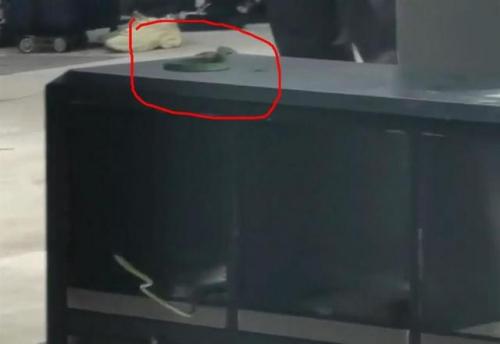 云南昆明火车站(云南火车站惨案纪录片)插图
