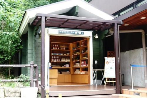 火鸟汉化组游戏安卓直装(火鸟汉化安卓游戏)插图5