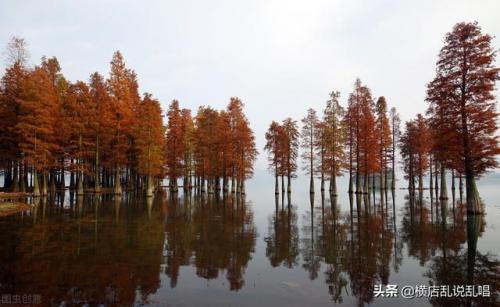 宁波余姚(余姚人才市场)插图5