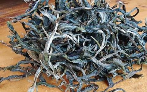 普洱茶品牌(正宗普洱茶哪个牌子最好)
