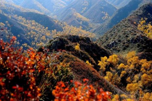 包头景点(包头十大网红打卡地)插图2
