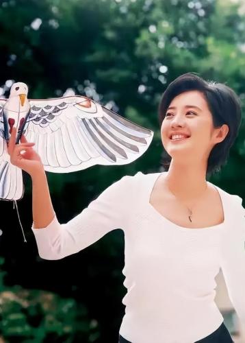 许戈辉简历(许戈辉惊艳的照片)插图6