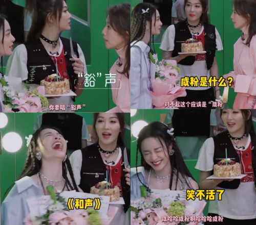 综艺女王气质排名前十(综艺十足女神范)插图16