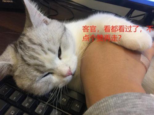 地痞街区游戏(休闲街区播过哪些游戏)插图14