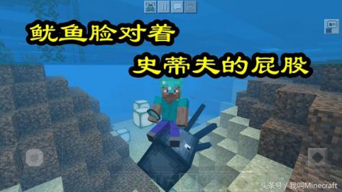 我的世界海豚(钻石傀儡vs循声守卫谁厉害)插图9