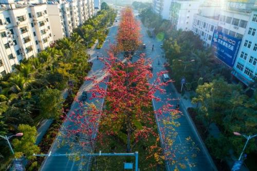 中国最强寒潮排名前十(云南寒潮最新消息)插图29