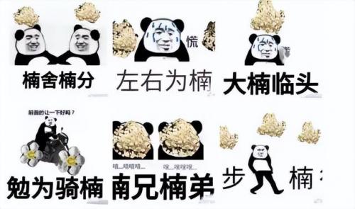 湖南十大花种排名前十(湖南十大果树排名)插图1